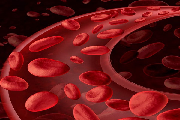 WOW! Get rid of the lack of blood