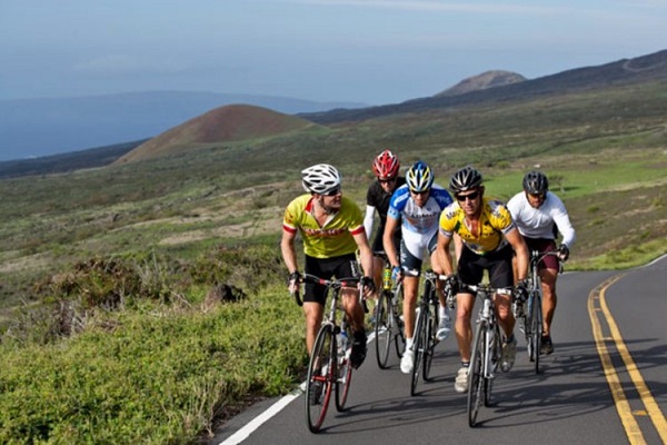 All diseases will be removed from cycling