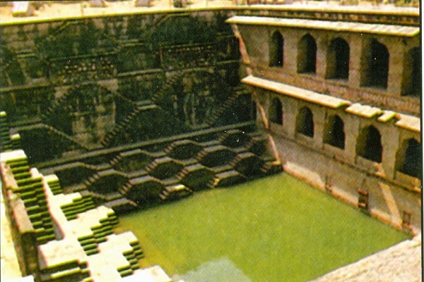 Brilliant baboons with beautiful palaces also make in Rajasthan