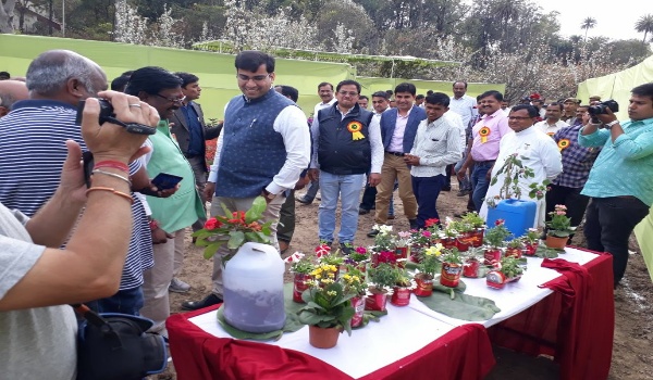 Flower pot made by bear can spread smile on the face of collector and other officers during flower show in mount abu