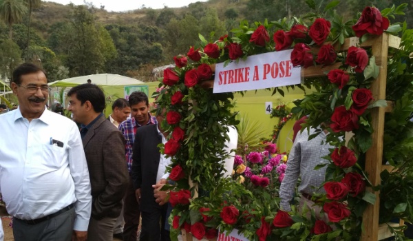 Flower frame displayed for photo shoot of visitors in flower show in mount abu