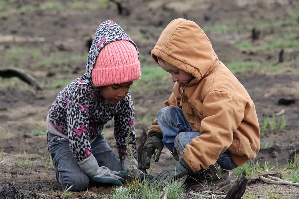 OMG! Generate more children here, get government help