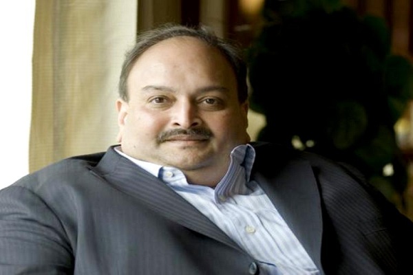 Mehul Choksi wrote a letter to the staff and said Find a job for yourself, I do not have money for salaries