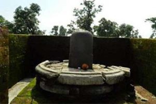 The fragrance of the Basil leaves comes from this Shivling