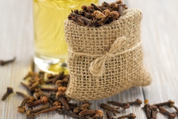 Clove is helpful in increasing disease resistance
