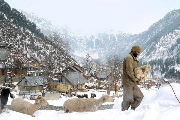 Twenty-six change in Kashmir Valley, rain, snowfall