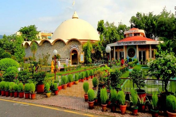 It is unique, this goddess finds a plant in Prasad