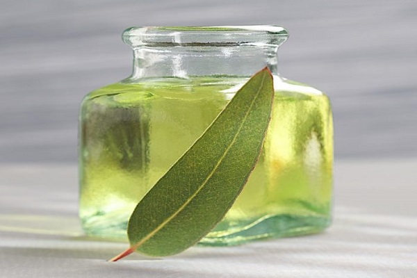 WOW! Nilgiri oil is full of beauty and health