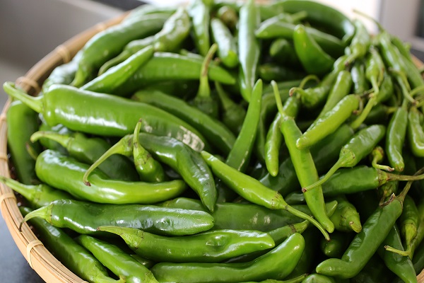 WOW! Learn the Benefits of Green Chillies