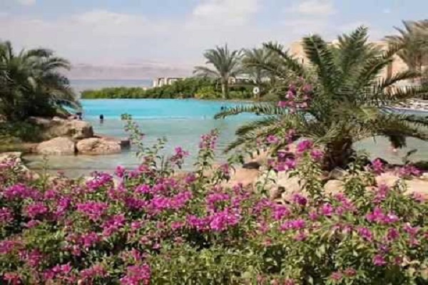 Indians in these beautiful countries can go without visa