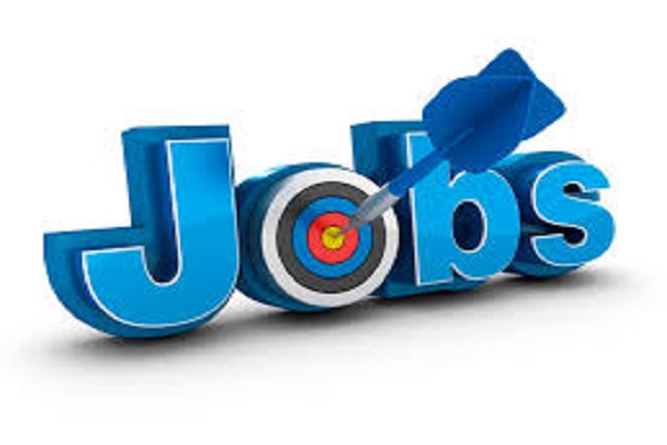 This is the world's peculiar jobs, knowing you will be stunned