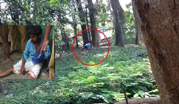 Thiruvananthapuram zoo murugan : kerala man jumps into lions cage