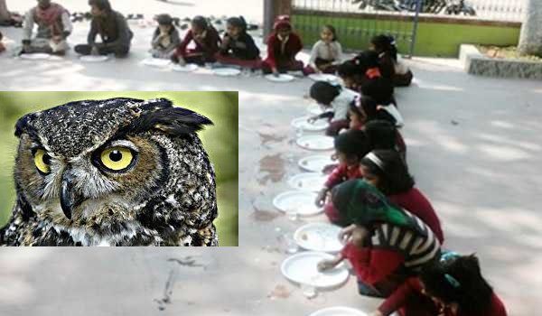Bihars villagers did Owls cremation in Supaul