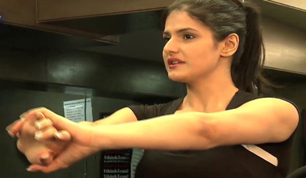 Troll affect our family and friends : zareen Khan