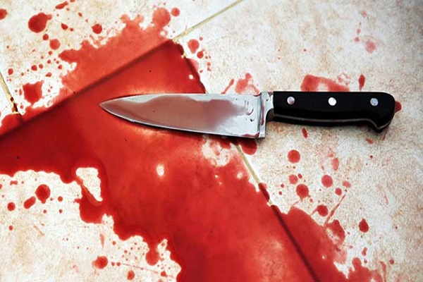 Bareilly son-in-law murder his in law
