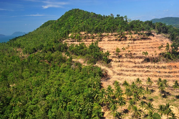 India down from third to global list of environment