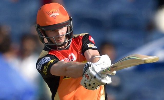 Ken Williamson named captain of Sunrisers Hyderabad for IPL