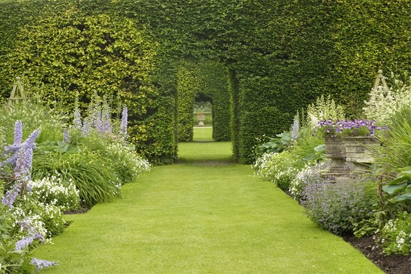 Lewens hall garden