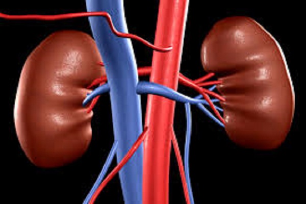 MP Chhattarpur has given Rs3 lakhs for the treatment of kidney diseases