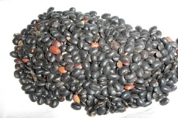Madhya Pradesh Eating children from Ratan Jot's seed