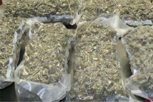 SSB recovered Charas more than 80 lakhs from Indo-Nepal border