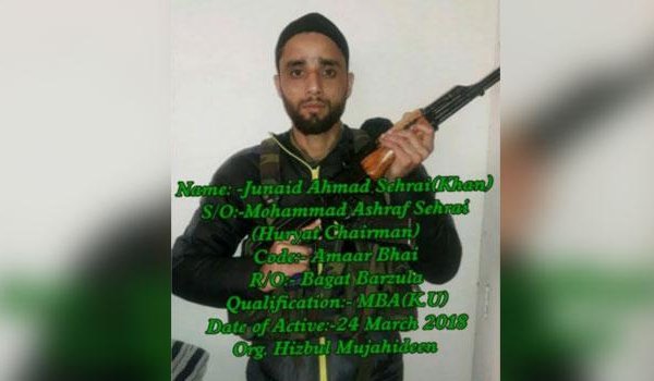 Son of Tehreek-e-Hurriyat chairman joins Hizbul Mujahideen