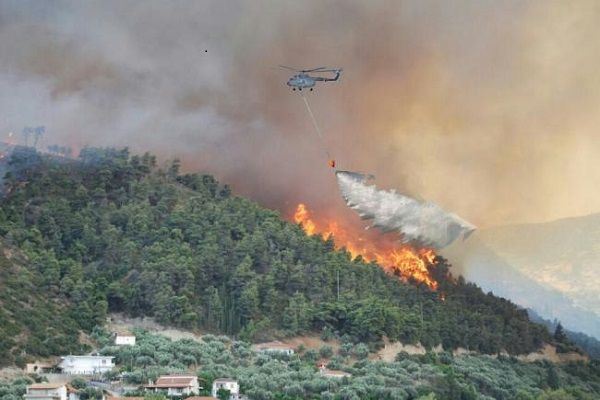 Tamilnadu kurangani forest fire