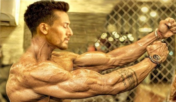 Tiger Shroff makes Muscular Body for Baaghi-2