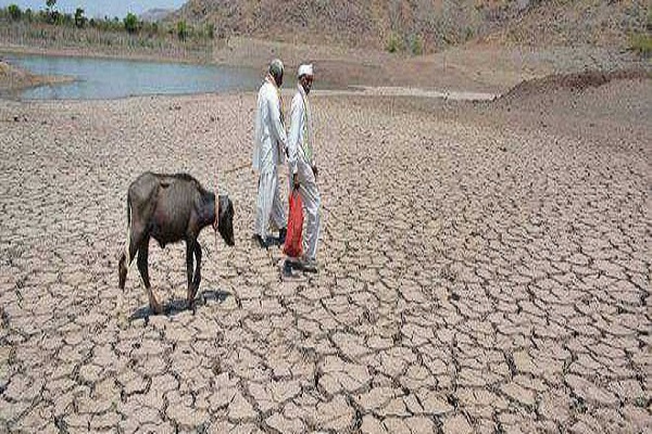 UP Animals in Bundelkhand with people also worry about water