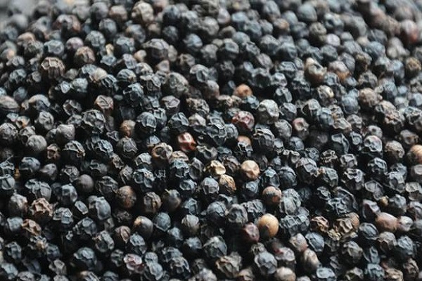 UP Black pepper smuggler arrested on the border of Siddhartha Nagar