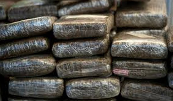 50 kg of opium seized, four accused arrested in kota