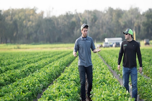 employment opportunities in agricultural sector, but young not Interest