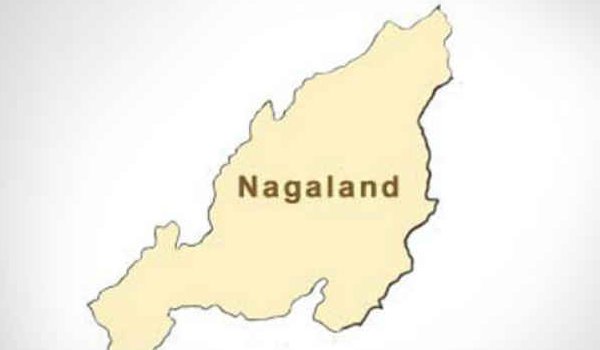 Nagaland assembly result 2018