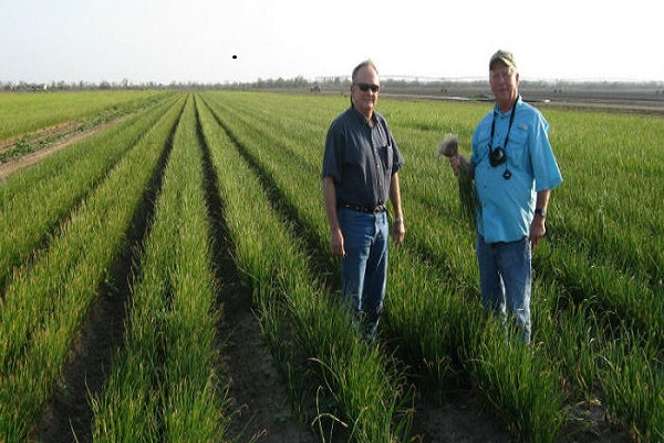 israel punjab ko navintm agricultural technology dega