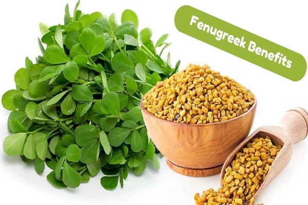 Fenugreek contains antioxidants and anti-inflammatory to avoid diseases