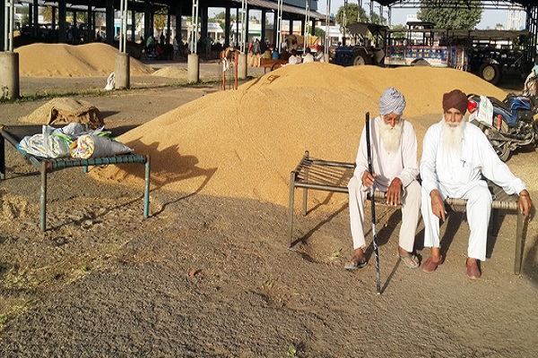 Punjab Government Development of Grain Market by 68 Crores