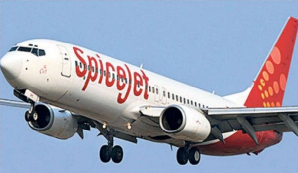 SpiceJet to investigate allegations of strip search by cabin crew