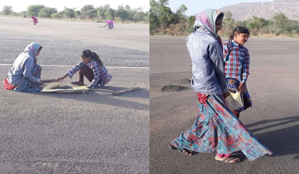 sirohi, vasundhara raej, child labour