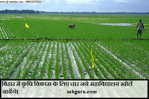 बिहार में कृषि विकास के लिए चार नये महाविद्यालय खोलें जायेंगे।