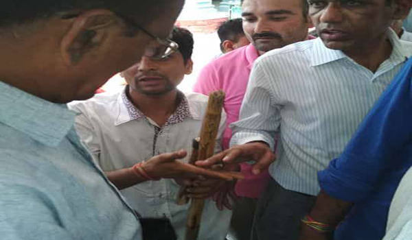 sirohi, band, collecterete