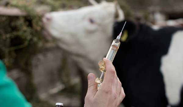Manufacture of Oxytocin to be banned from July 1