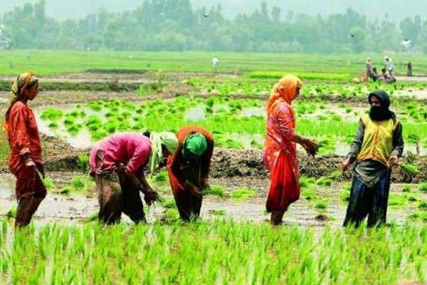 खरीफ सीजन के लिये 2800 करोड़ रुपये का ब्याज मुक्त फसली ऋण का वितरण