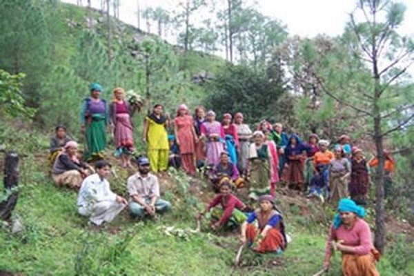 टीएसपी के क्षेत्र में 23 वन उपज के संग्रहण एवं समर्थन मूल्य हेतु अनुबंध