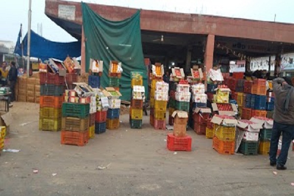 किसान आंदोलन से प्रदेश की अधिकांश सब्जी मंडियों में सन्नाटा