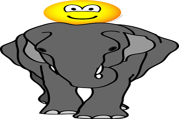 An elephant was crossing the bridge of rooksAn elephant was crossing the bridge of rooks