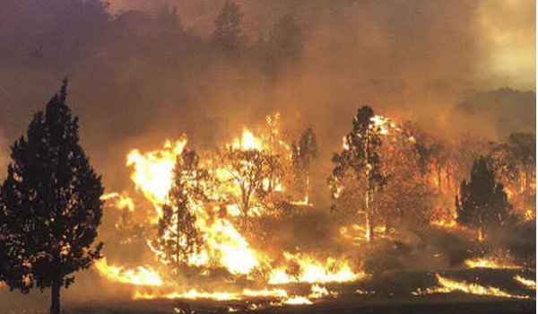 new wildfires sweep through California, burning homes