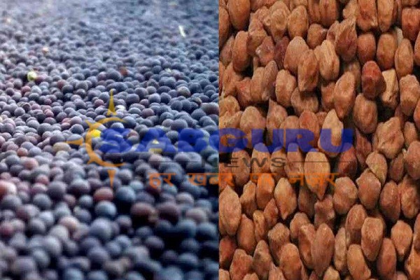 चना एवं सरसों का 523.17 करोड़ का भुगतान किशानो के सीधे उनके खातों में