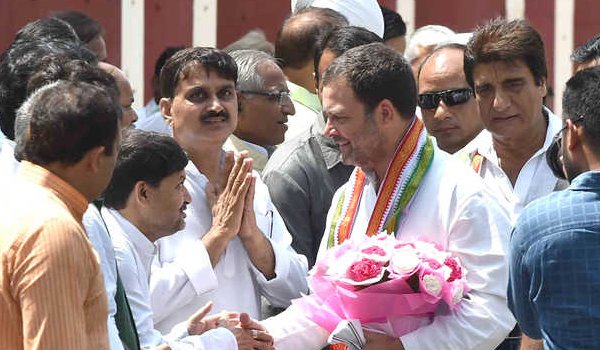 After 'Madarsa', Rahul visits 'gaushala' in Amethi