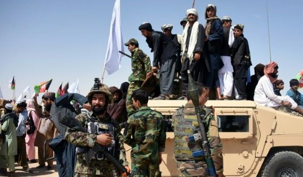 US says Taliban inertia on peace talks 'unacceptable'