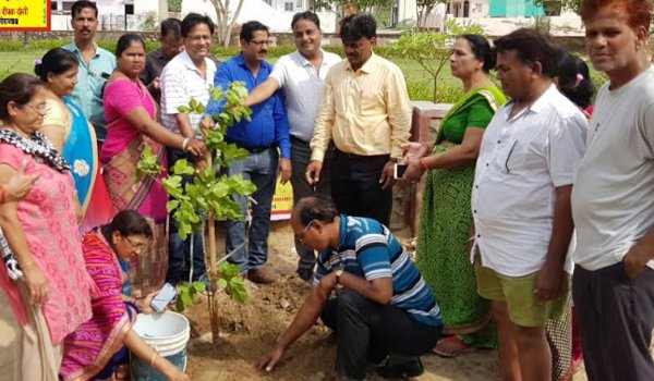 plantation by lions club ajmer umang at gyan vihar in ajmer